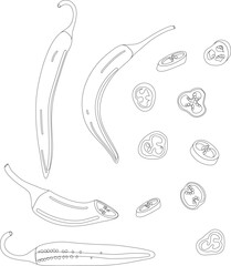 Hot pepper vector illustration. Hot pepper. Chilli. Cayenne pepper. Piece of pepper, pepper pieces with seeds, pepper circles, chopped pepper with seeds.