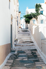 Streets of village of Pyrgos with Cycladic houses and the Bougainvillea flowers tree on Tinos island, Cyclades, Greece