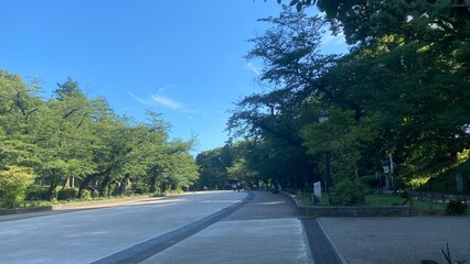 Naklejka premium Wide long path at the park of Ueno Tokyo Japan, year 2022 July 28th 