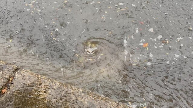 L'eau coule dans une rue pendant une averse