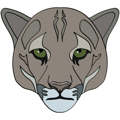 Puma head illustration, sport mascot or team logo in flat style.Cartoon image in vector graphic.