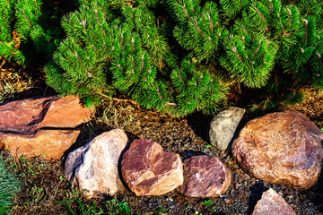 Fir branches against the background of large cobblestones. Landscaping and gardening of adjacent...