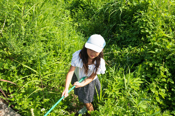 夏休み　小学生の女の子　日本人　女子　昆虫採集