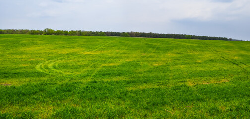 wide green rural fields landscape