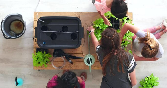 Students, children and kids learning, looking at and organizing plants while studying botany at school. Nature conservation studied by learners and friends analyzing, examining flora in a classroom