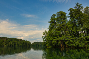 lake in the forest