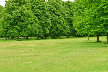 London; England - june 25 2022 : Hyde Park