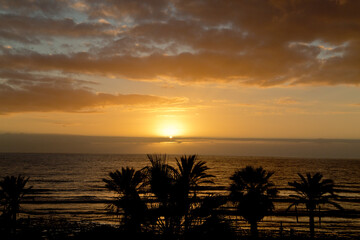 Fototapeta na wymiar Sonnennuntergang über den Palmen