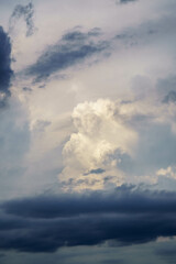 Fototapeta na wymiar 夏の空の入道雲