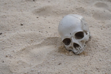 human skull laying in beach sand