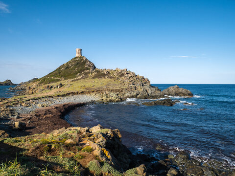View on a genoise tower in the Sanguinaires archipelago in the morning in summer, Ajaccio Corsica, France