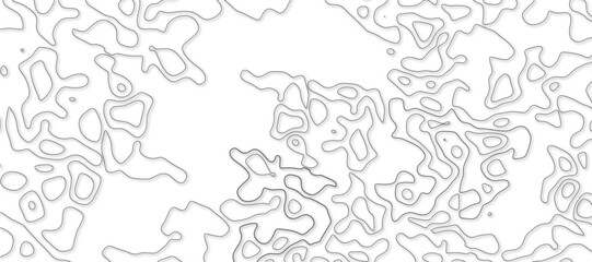 Terrain line. Topographic map on white background. Topo map elevation lines. Contour vector abstract vector illustration. Geographic world topography.