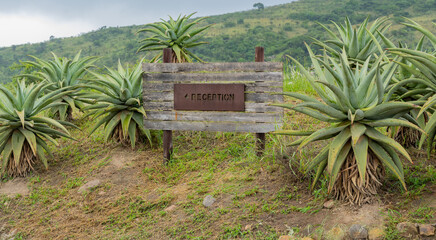 Eingang Safari Lodge im Naturreservat Hluhluwe Imfolozi Park Südafrika