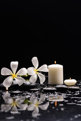 Still life of with Plumeria, frangipani with candle  zen black stones on wet background