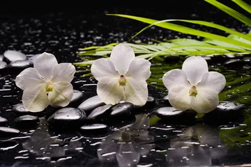 Schilderijen op glas Still life of with  Three orchid and green paln ,zen black stones on wet background  © Mee Ting