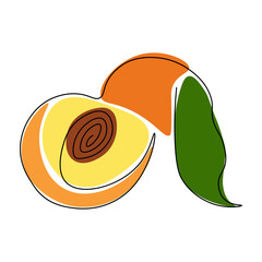 Peach drawing drawn with one continuous line