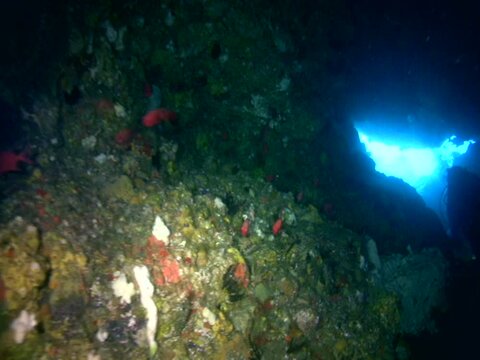 Underwater cave with divers
