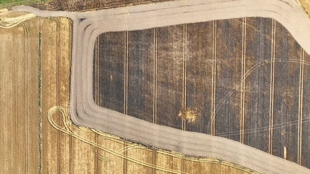 Fields fire blaze barley after flame wild drought dry black earth ground catastrophic pity damage Hordeum vulgare vegetation cereals stand green natural disaster burnt down, drone aerial