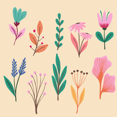 set of seamless pattern with flowers