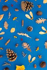 Autumn dry leaves on a blue background. Fall nature dark bold concept.