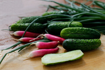 Fresh cucumbers and radishes on the rustic table. Fresh spring vegetables.Healthy eating.
