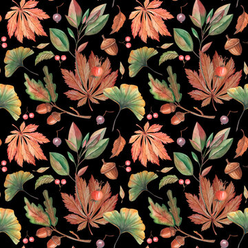 Botanical watercolor seamless pattern with autumn forest leaves at black background. Vintage illustration for textile