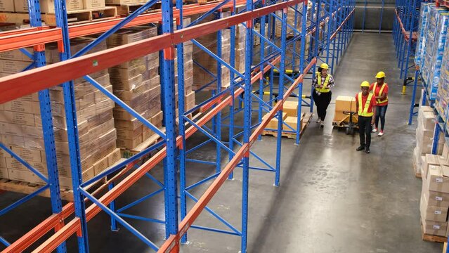 team of black male and female warehouse workers pulling a pallet jack with boxes and goods to sort the stock.
