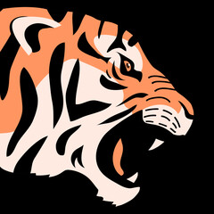 Angry tiger growls and bares its teeth. Bengal or Amur tiger. Head portarit. Big wild cat. Strong animal predator. Striped orange skin. Fauna and zoo. Flat vector illustration. Black background