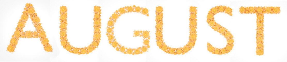 Word august made from orange flowers and petals on white background. 3d illustration.