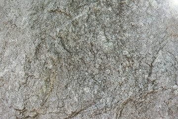 Stone beautiful texture background.Stone texture.