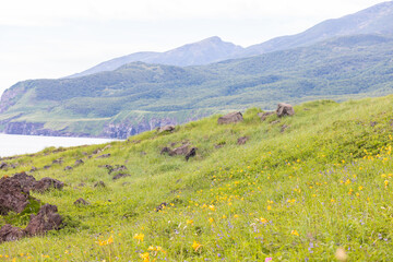 Fototapeta premium Iturup landscape, Yankito plato. Russia, Sakhalin region, Kuril Islands. Mountains and Okhoskoe sea