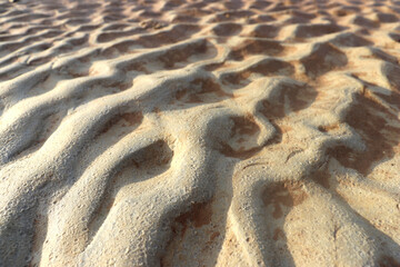 Wave-shaped sand is formed by the flow of river water