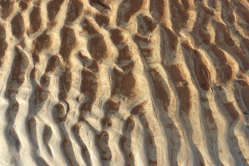 Wave-shaped sand is formed by the flow of river water