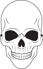 skull and crossbones