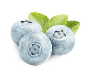 blueberry isolated on white. the entire image in sharpness.