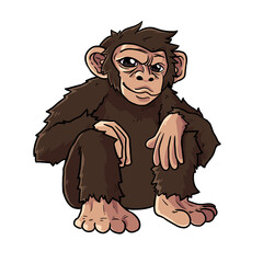 Obraz premium Chimpanzee Monkey