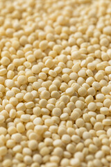 Raw Dry Organic Couscous