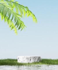 Cosmetic background for product presentation.minimal podium for fashion magazine,grass natural...