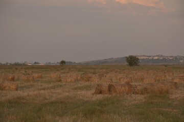Haystacks rolled into bales in the Kuban fields. View of Temryuk.