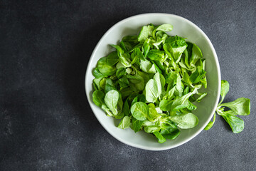 mache salad green corn leaves mung bean lettuce fresh healthy meal food snack diet on the table copy space food background 
