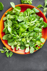 mache salad green corn leaves mung bean lettuce fresh healthy meal food snack diet on the table copy space food background 
