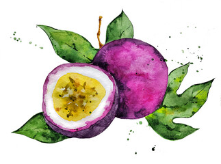 Passion fruit half and whole, watercolor illustration