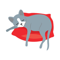 Cute gray cat sleeping on a red pillow icon vector. Adorable domestic cat relaxing on a pillow cartoon isolated on a white background