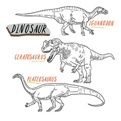 Dinosaurs illustration Cartoon line art Collection set 