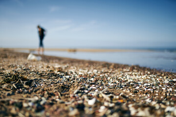 People walking on the beach