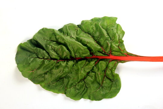 Fresh organic chard on a white background, Sweet beet leafs (mangold)