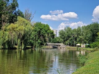 Fototapeta na wymiar lake and green trees in a recreation park in summer, nature of Ukraine