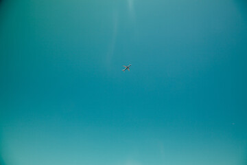 Fototapeta na wymiar A plane flying in the blue sky in summer. Travelling concept. 