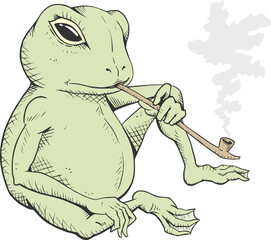 Funny frog smoking