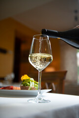 Serving white wine in a restaurant gourmet elegant